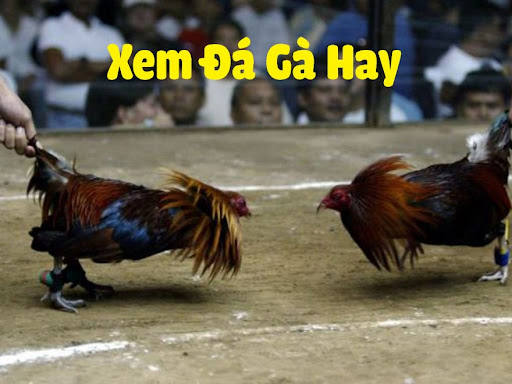 da ga campuchia