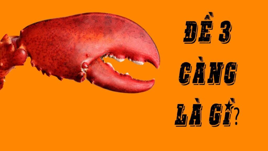 de 3 cang 1i